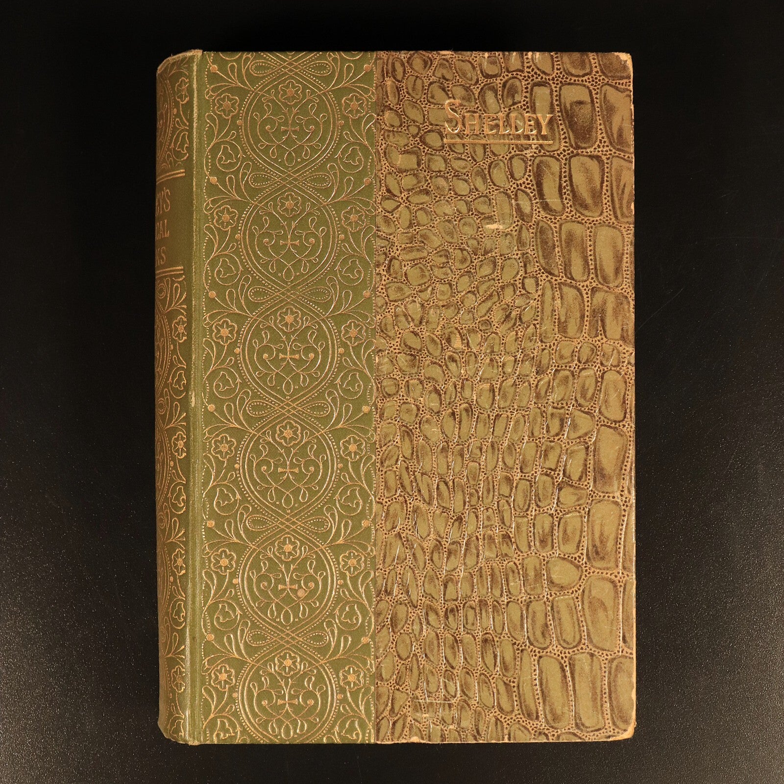 The Poetical Works Of Percy Bysshe Shelley c1895 Rossetti Antique Poetry Book