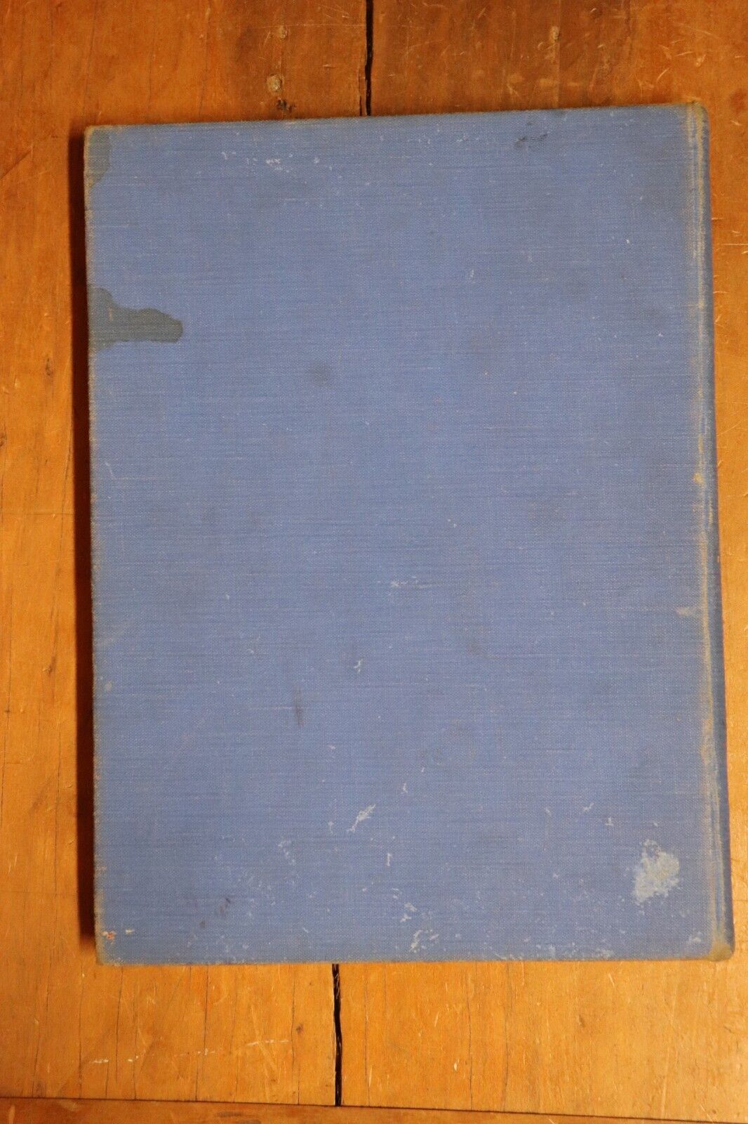 01f462b0-c444-40b0-9682-d2141849251b