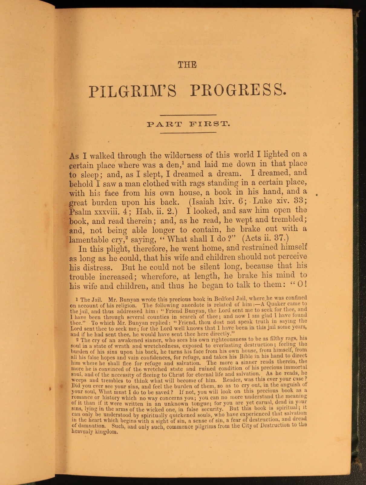 c1880 The Pilgrim's Progress by John Bunyan Antique Illustrated Christian Book