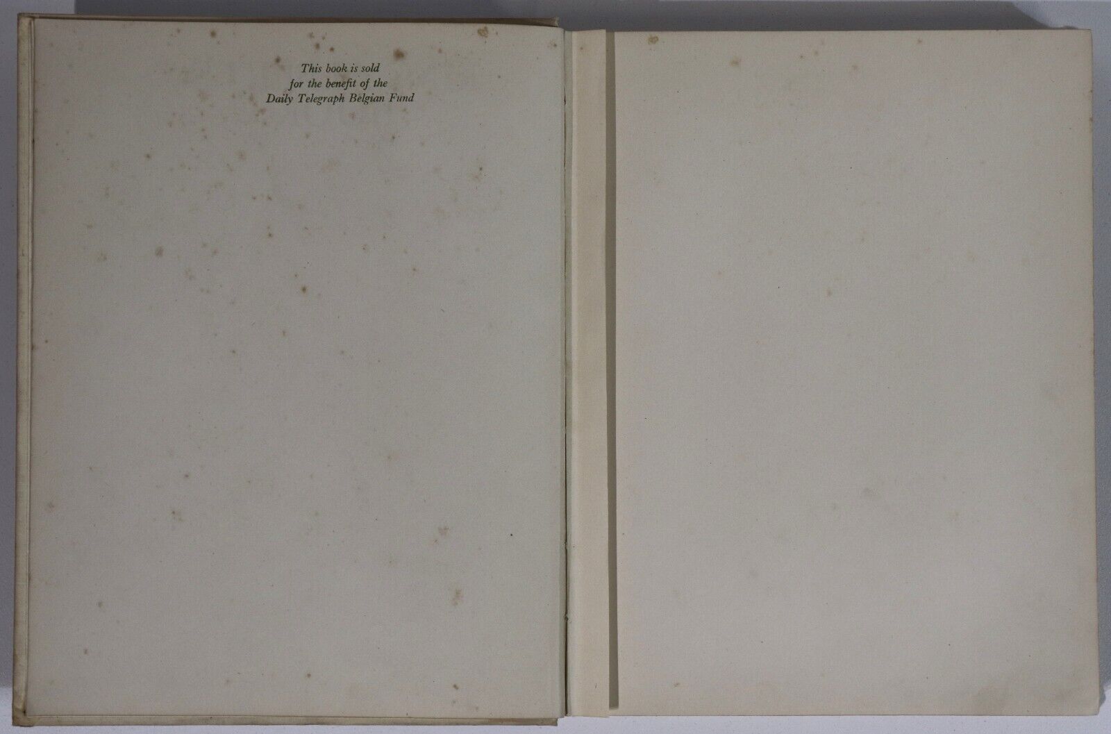 1915 King Albert's Book - Tribute To Belgian King Antique History & Art Book