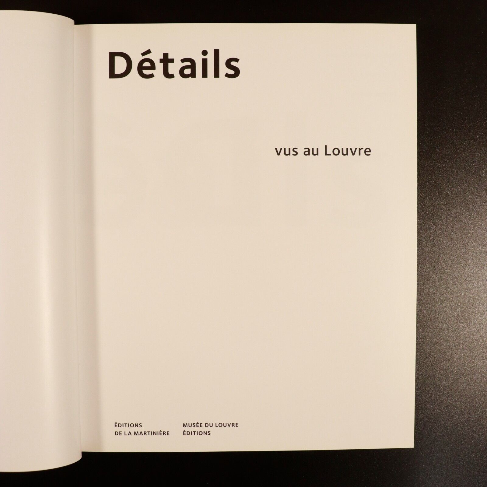 2009 Details Editions De La Martiniere Nadeije Laneyrie-Dagen French Art Book