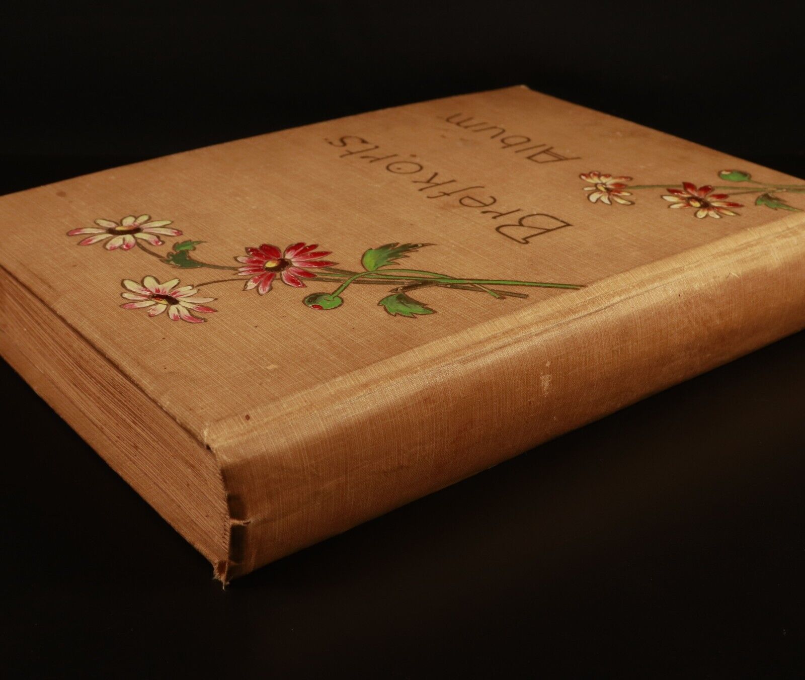 1902 Antique Swedish Brefkorts Postcard Album 146 Postcards & Photos Included
