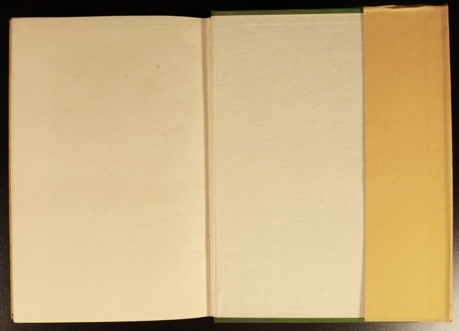 1926 German Colonization Past & Future by Dr Heinrich Schnee German History Book