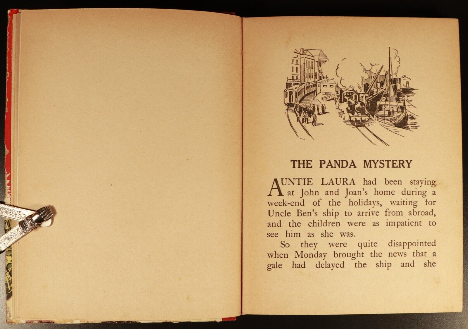 c1950 My Pet Panda Antique British Illustrated Childrens Book Birn Brothers Ltd