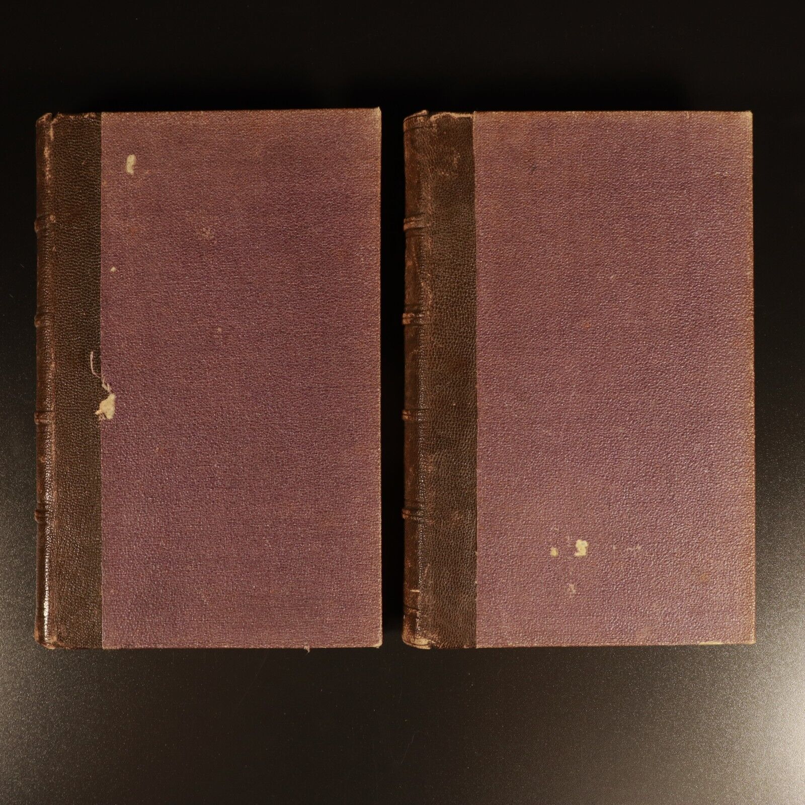 1863 2vol Manuel De l'Histoire De La Peinture Antiquarian French Art Books
