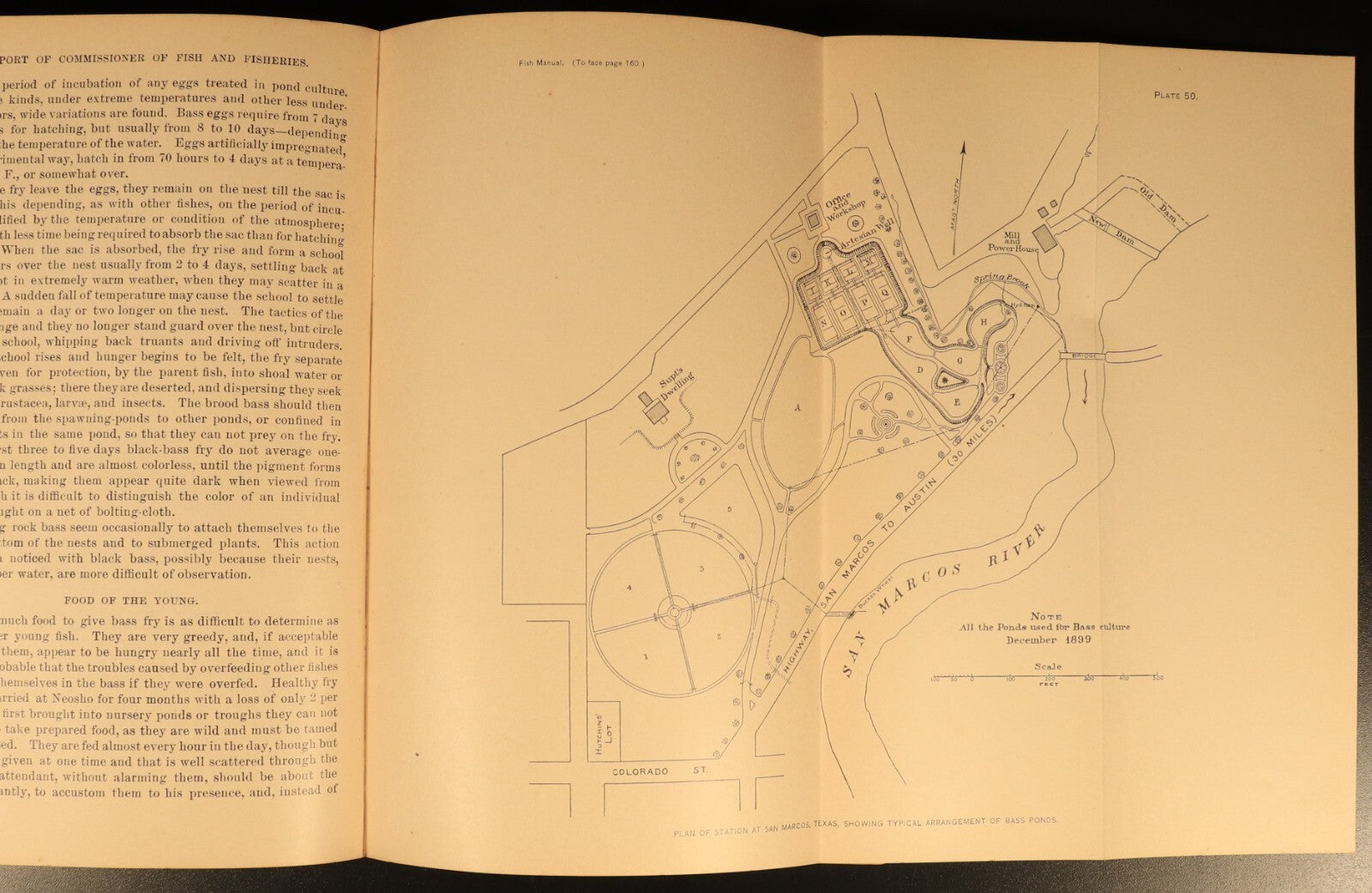 1900 A Manual Of Fish Culture by US Fish & Fisheries American History Book Maps