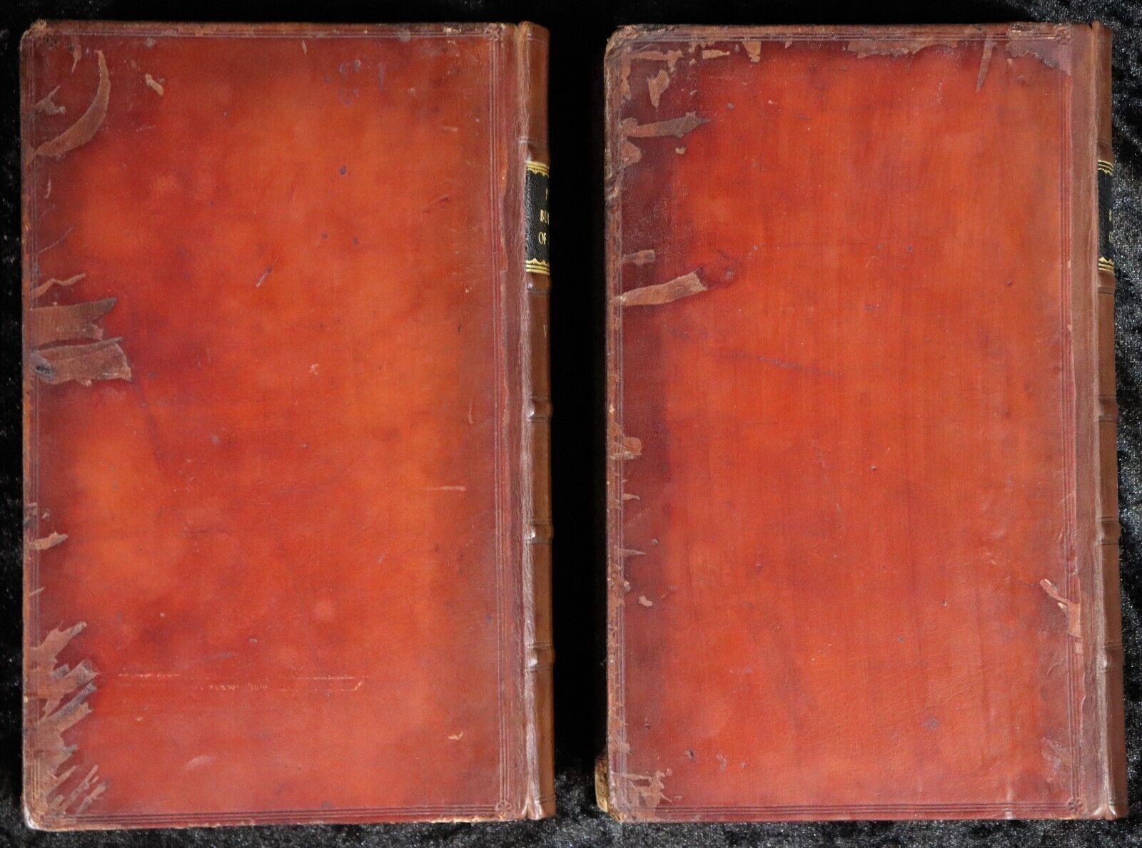 1825 2vol Public Buildings Of London Illustrated Antiquarian Architecture Books