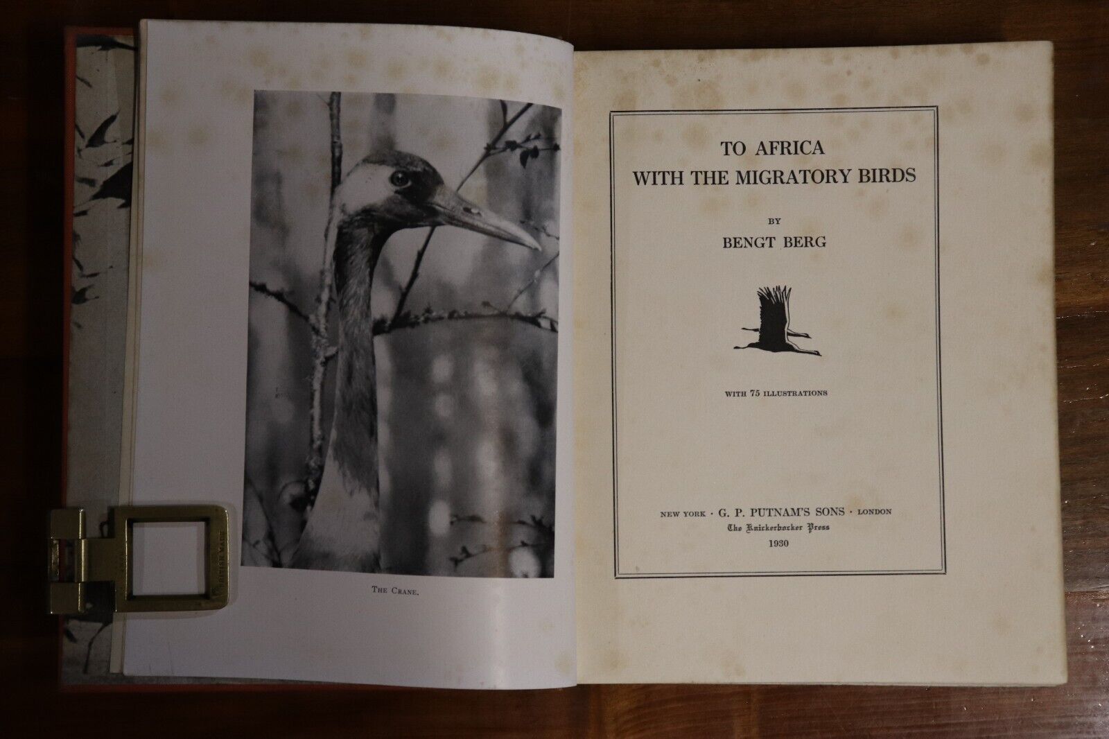 1930 To Africa With The Migratory Birds Antique Natural History Reference Book