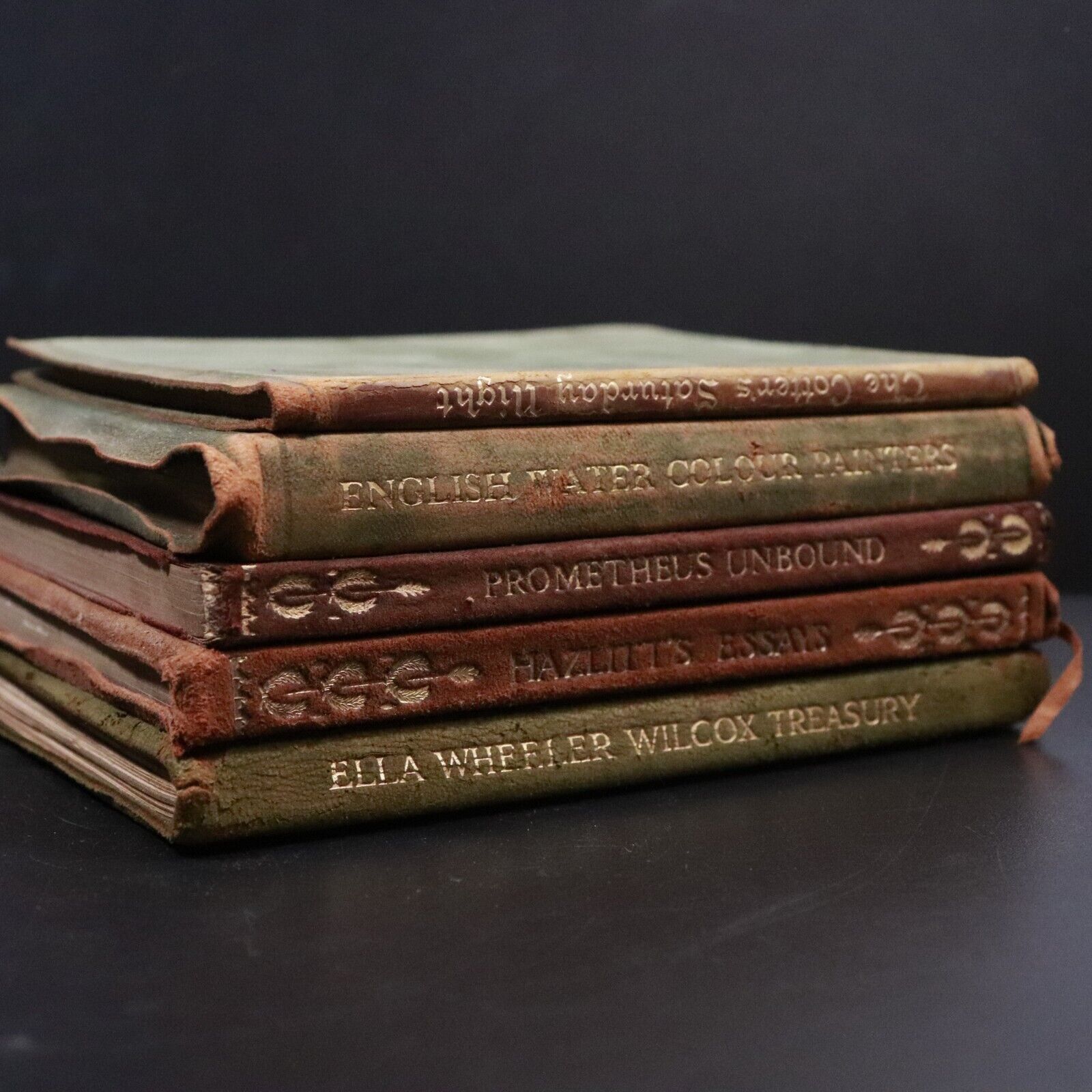 c1905 5vol Suede Classic Literature Poetry Book Collection Shelley Burns Wilcox