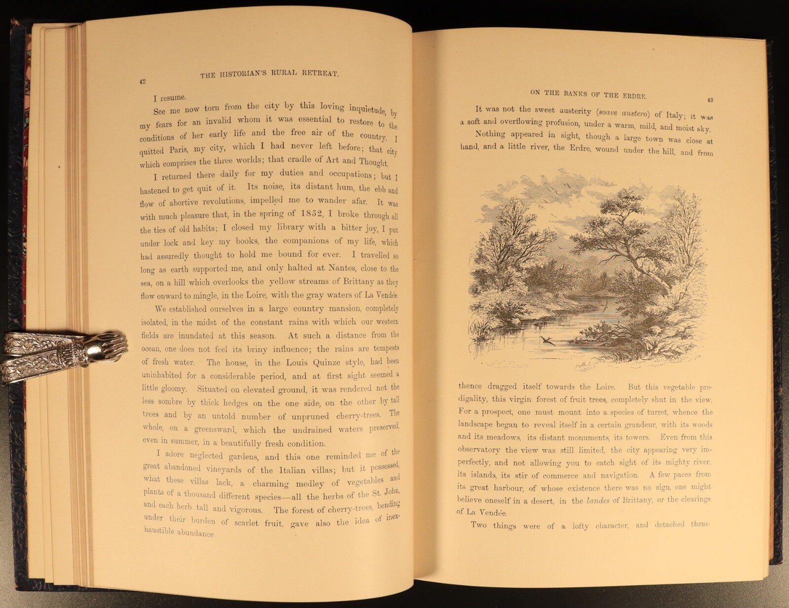 The Bird by Jules Michelet & Giacomelli 1895 Antique Natural History Book Gilt