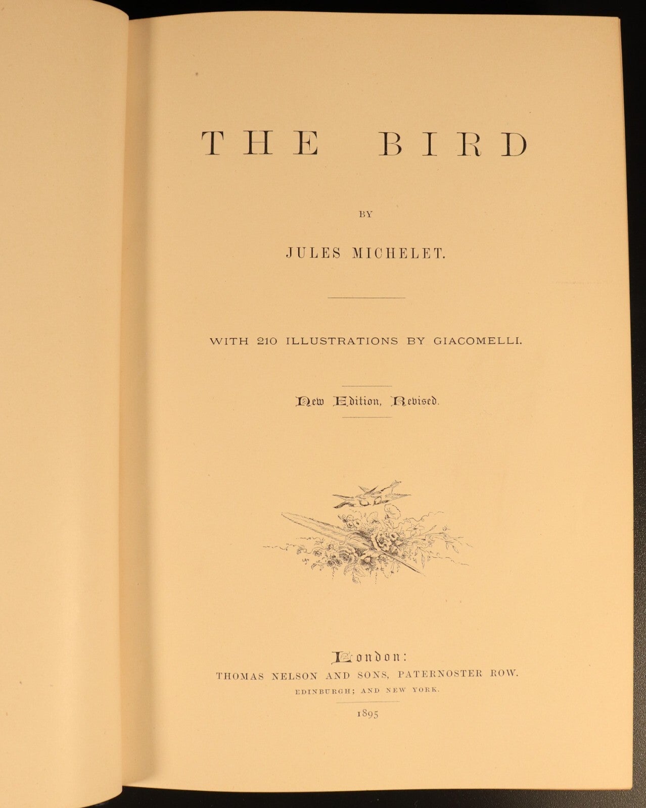 The Bird by Jules Michelet & Giacomelli 1895 Antique Natural History Book Gilt