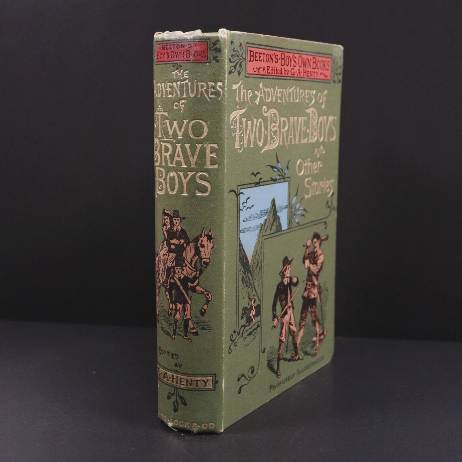 c1890 Adventures Of Two Brave Boys by G.A. Henty Antique Children's Book