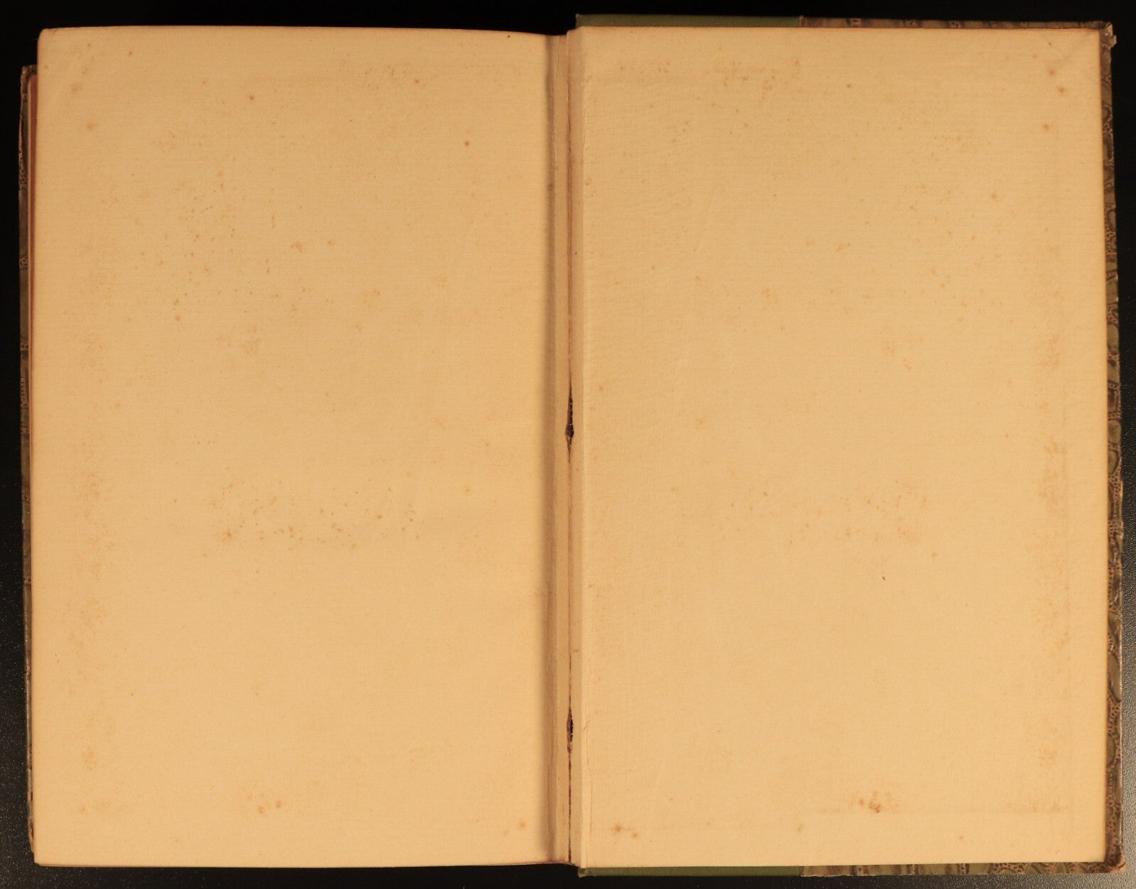 The Poetical Works Of Percy Bysshe Shelley c1895 Rossetti Antique Poetry Book