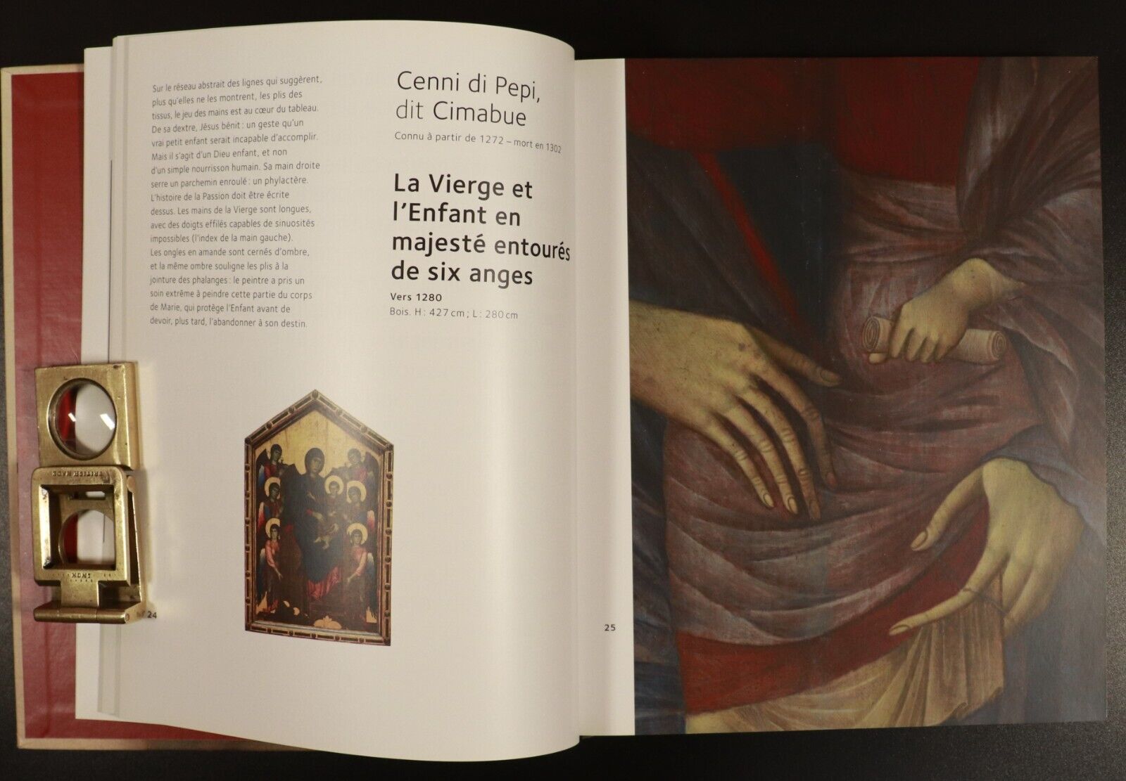 2009 Details Editions De La Martiniere Nadeije Laneyrie-Dagen French Art Book