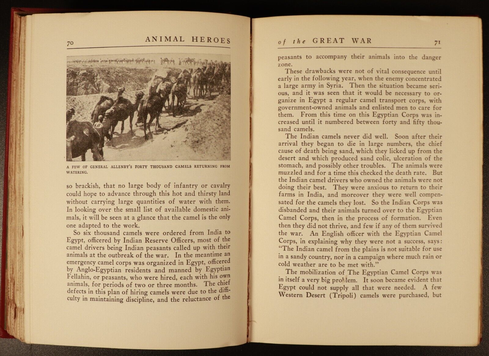 1927 Animal Heroes Of The Great War WW1 Military History Book by E.H. Baynes