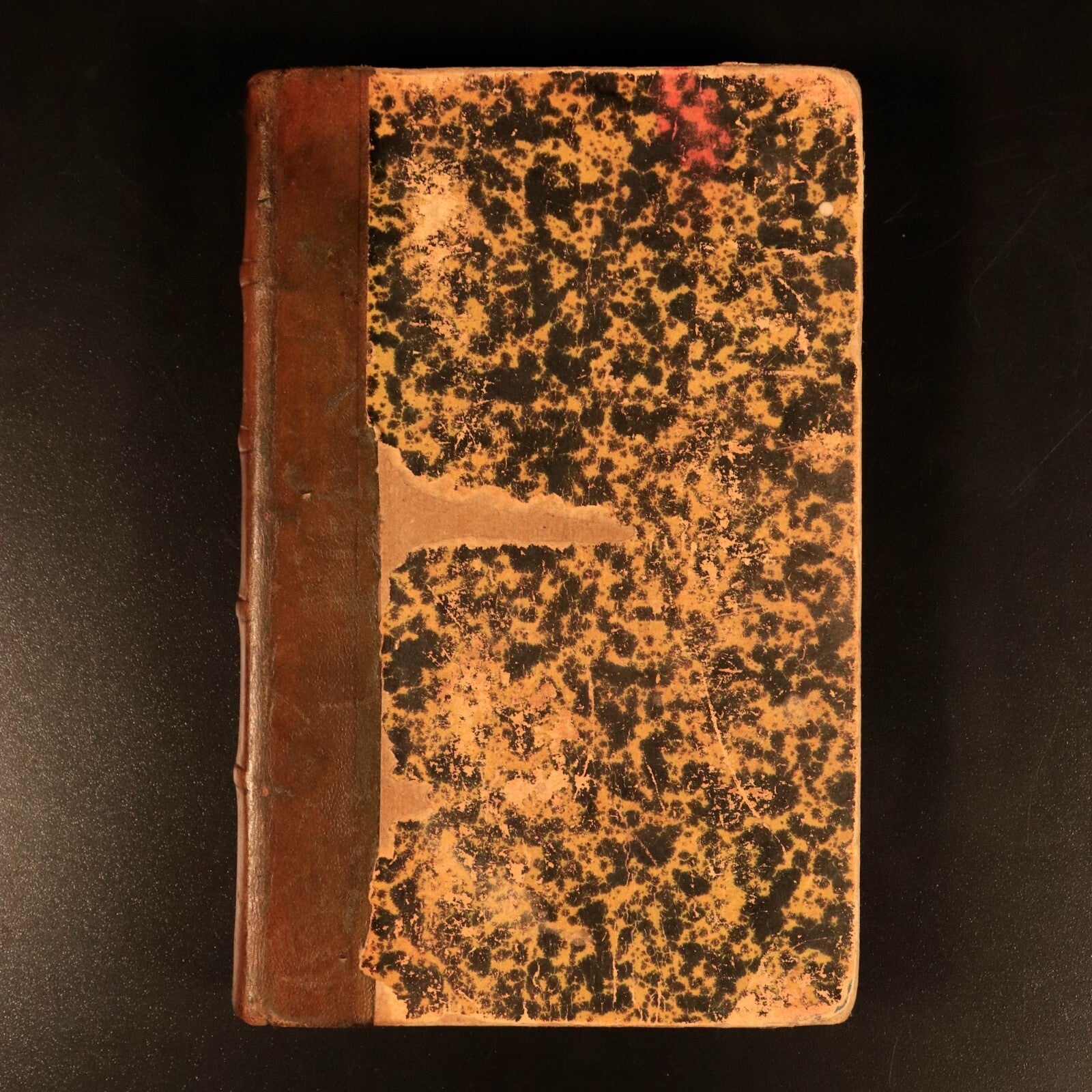 1886 Minette by Julie Gouraud Antiquarian Illustrated French Fiction Book