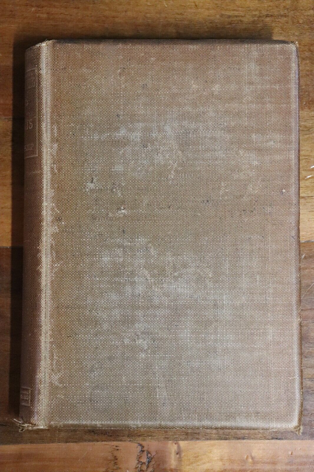1890 Robert Browning: Essays & Thoughts Antique British Literature History Book
