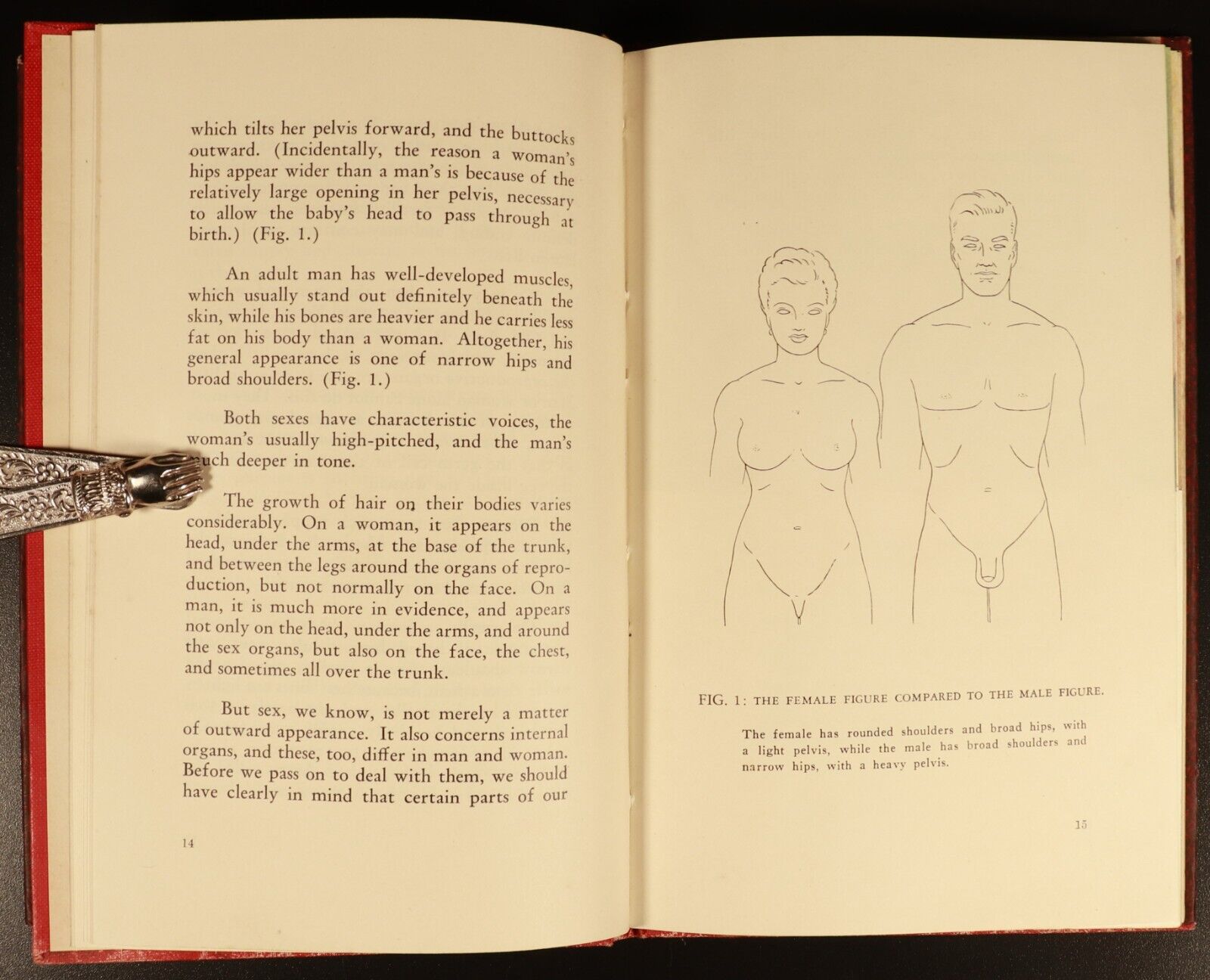 Sex Education In Pictures by DJ Farrell 1946 Antique Sexual Reference Book