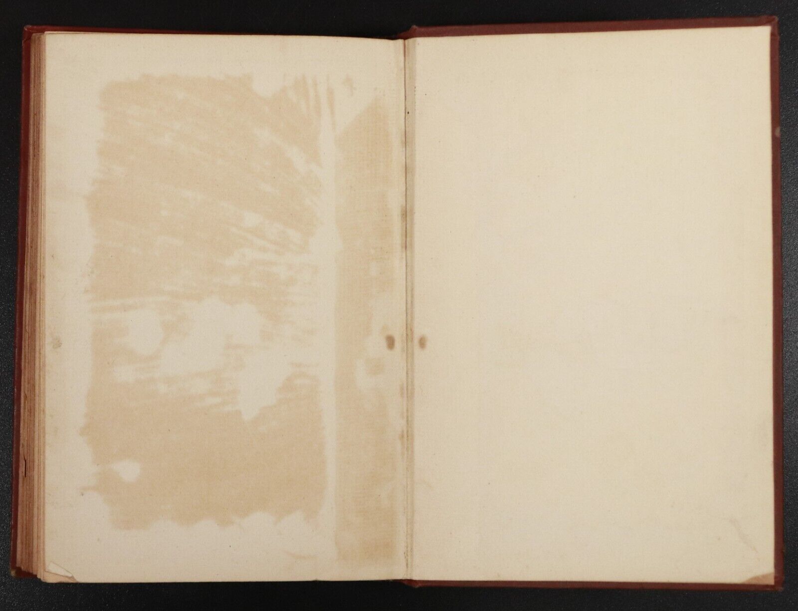 c1910 Taken Alive & Other Stories by E.P. Roe Antique American Fiction Book