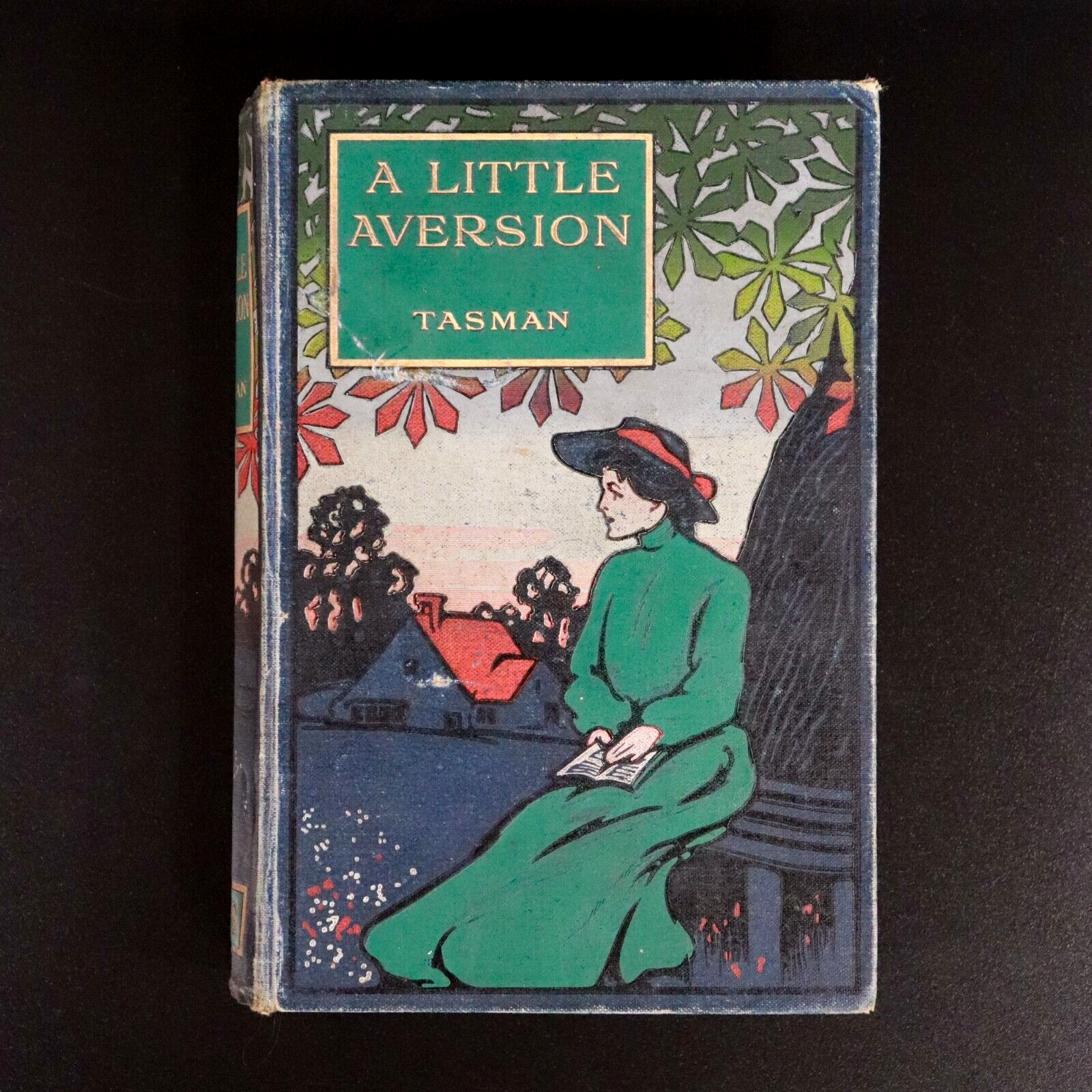 c1910 A Little Aversion by Tasman Illustrated Australian Fiction Book