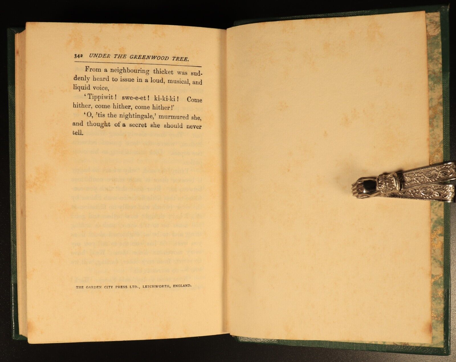 c1930 Under The Greenwood Tree by Thomas Hardy Antique Fiction Book Leather