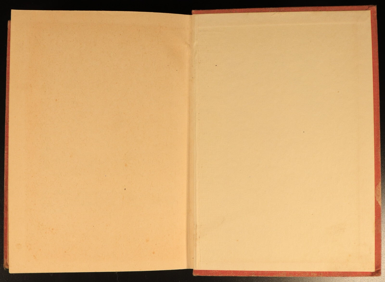 c1935 The Magic Walking Stick & Arabian Nights Antique Fiction Childrens Book