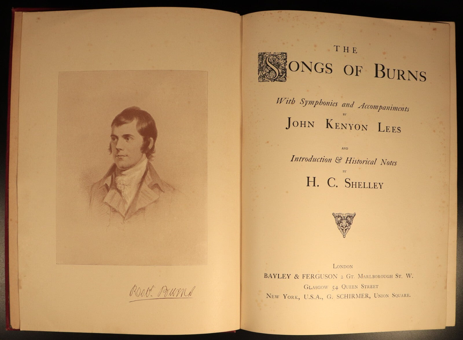 The Songs Of Robert Burns by Lees & Shelley c1896 Antique Poetry History Book