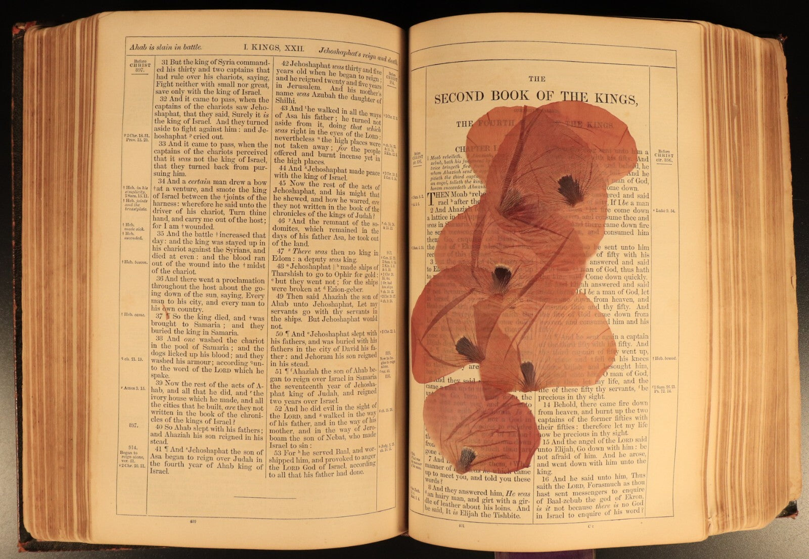 1853 The Prince James Holy Bible Antiquarian Bible With Ephemera Postcards etc