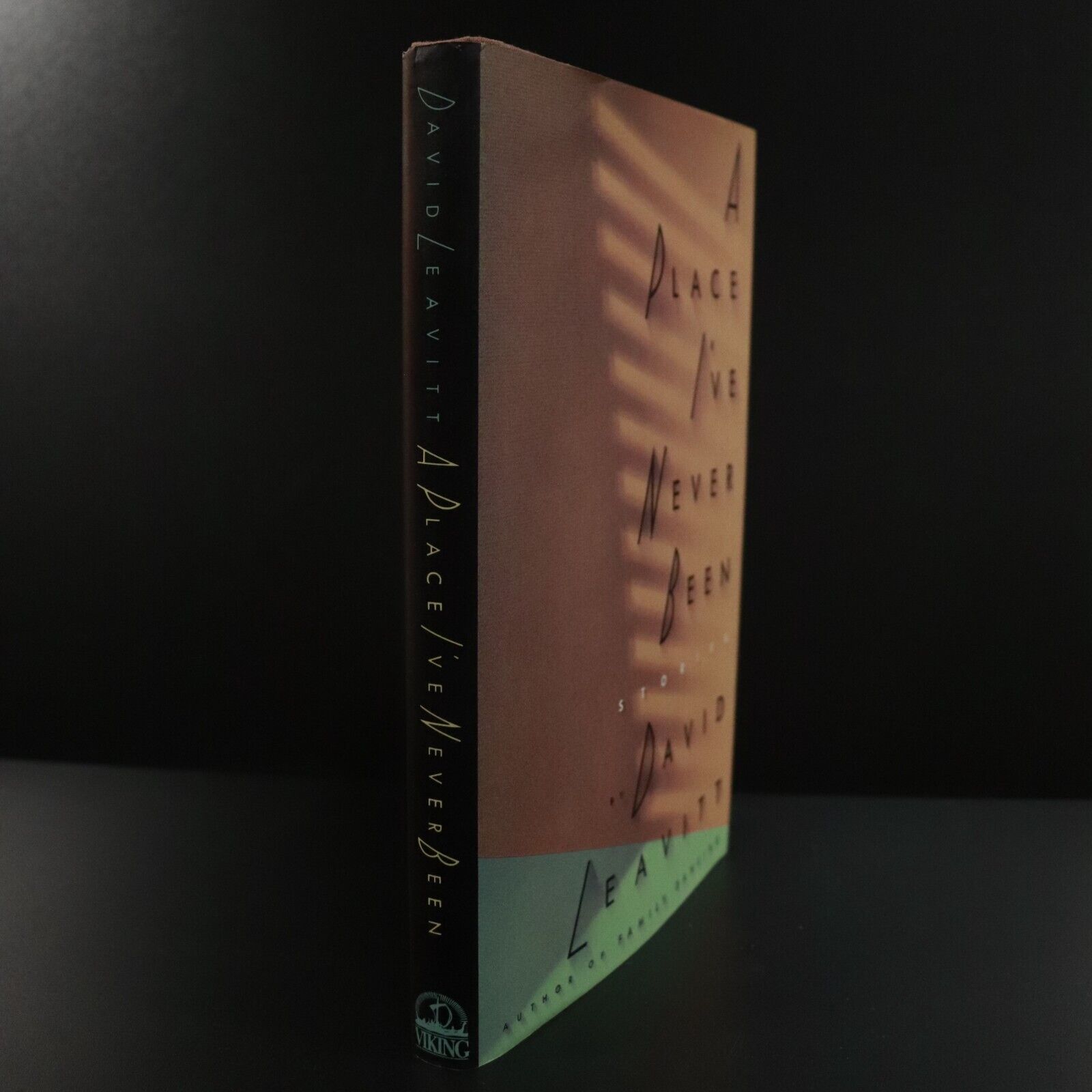 1990 A Place I've Never Been by David Leavitt 1st Edition American Fiction Book