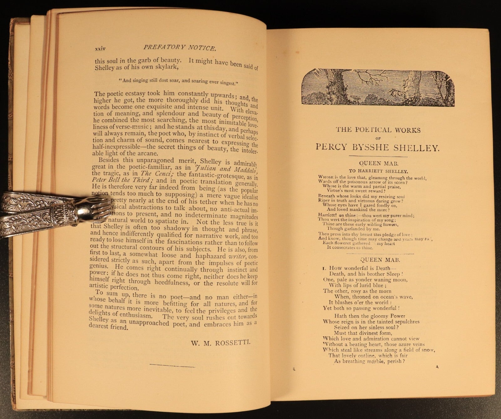 The Poetical Works Of Percy Bysshe Shelley c1895 Rossetti Antique Poetry Book