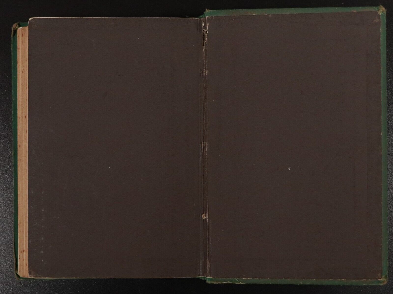 1882 The Dog Crusoe & His Master by RM Ballantyne Antique Adventure Fiction Book