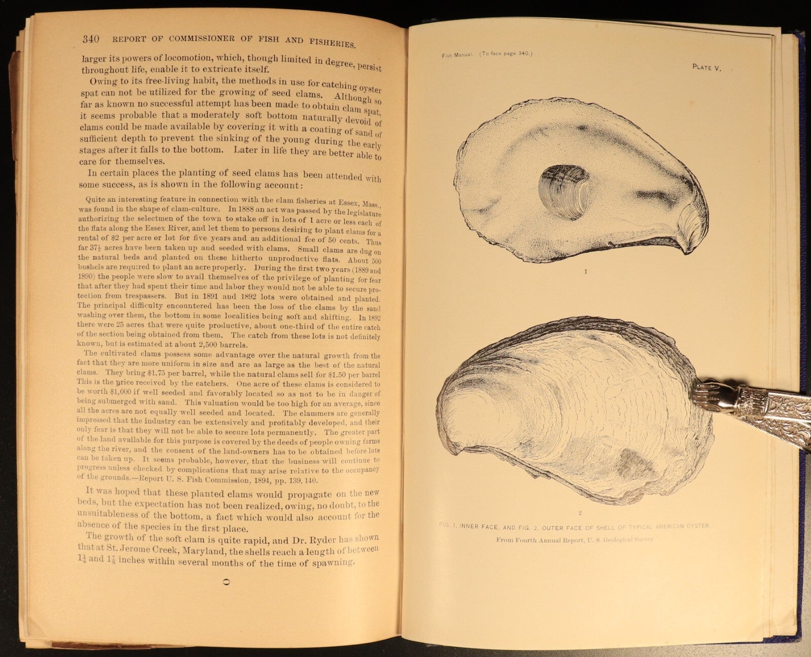 1900 A Manual Of Fish Culture by US Fish & Fisheries American History Book Maps