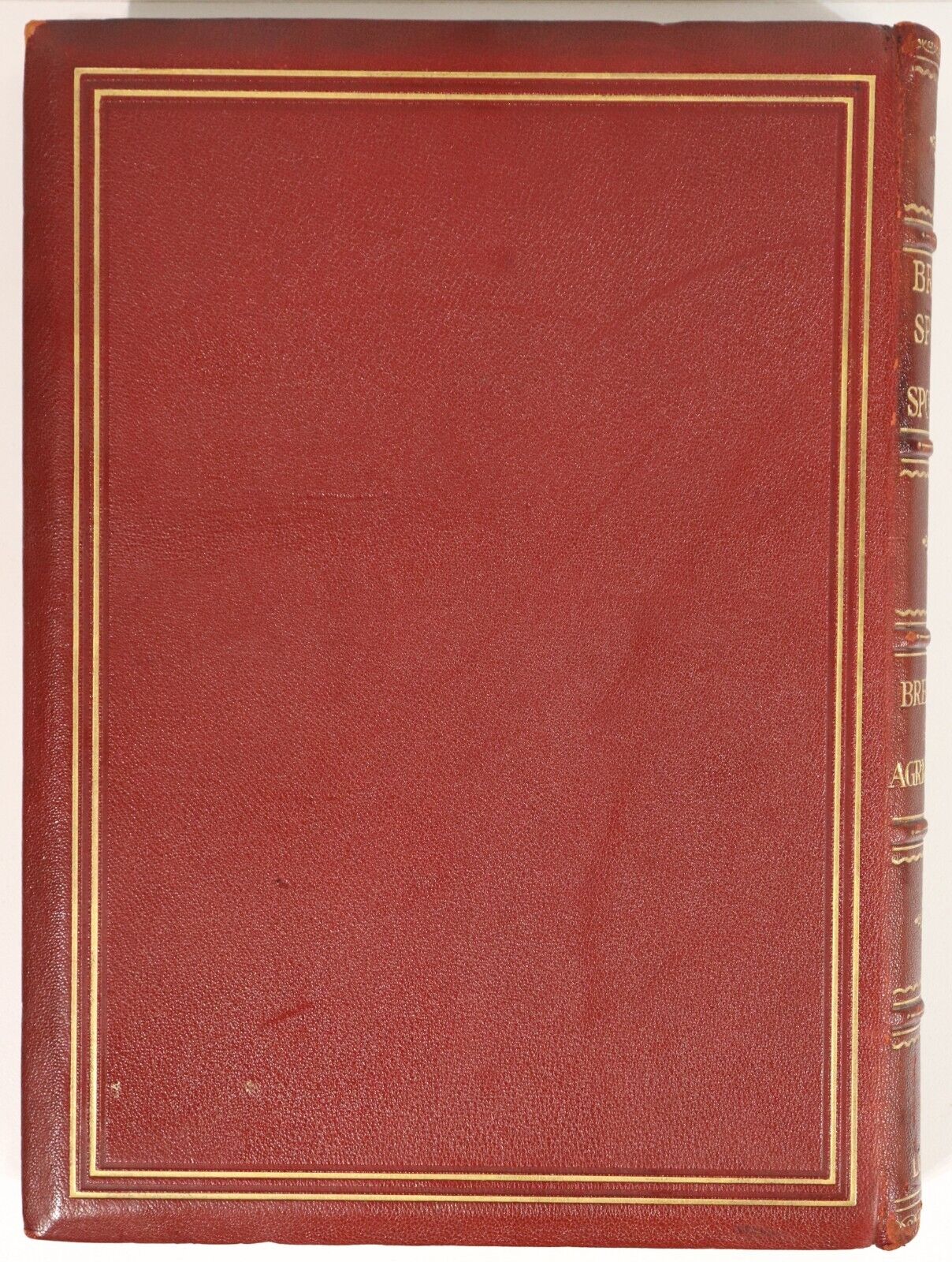 c1920 British Sports & Sportsmen - Agriculture Antique Sport History Book 1st Ed