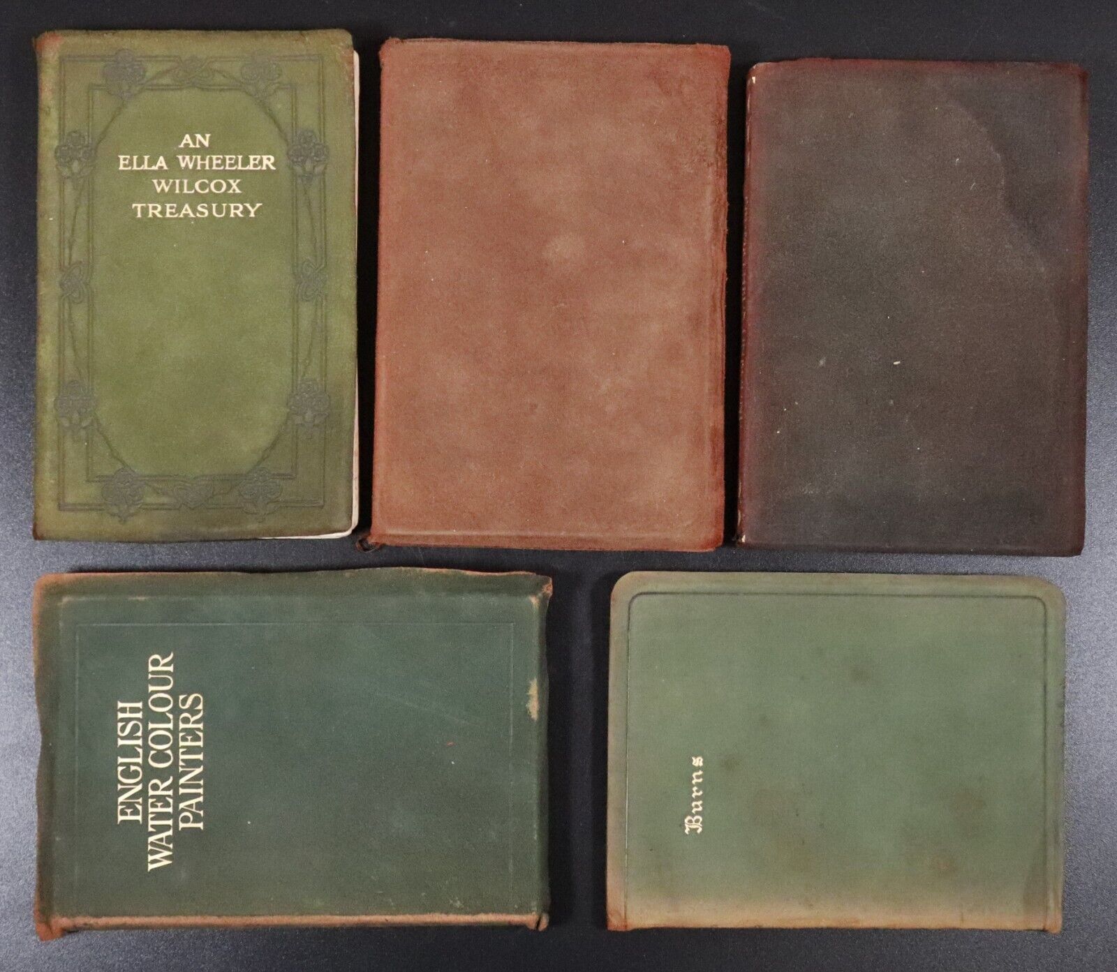 c1905 5vol Suede Classic Literature Poetry Book Collection Shelley Burns Wilcox