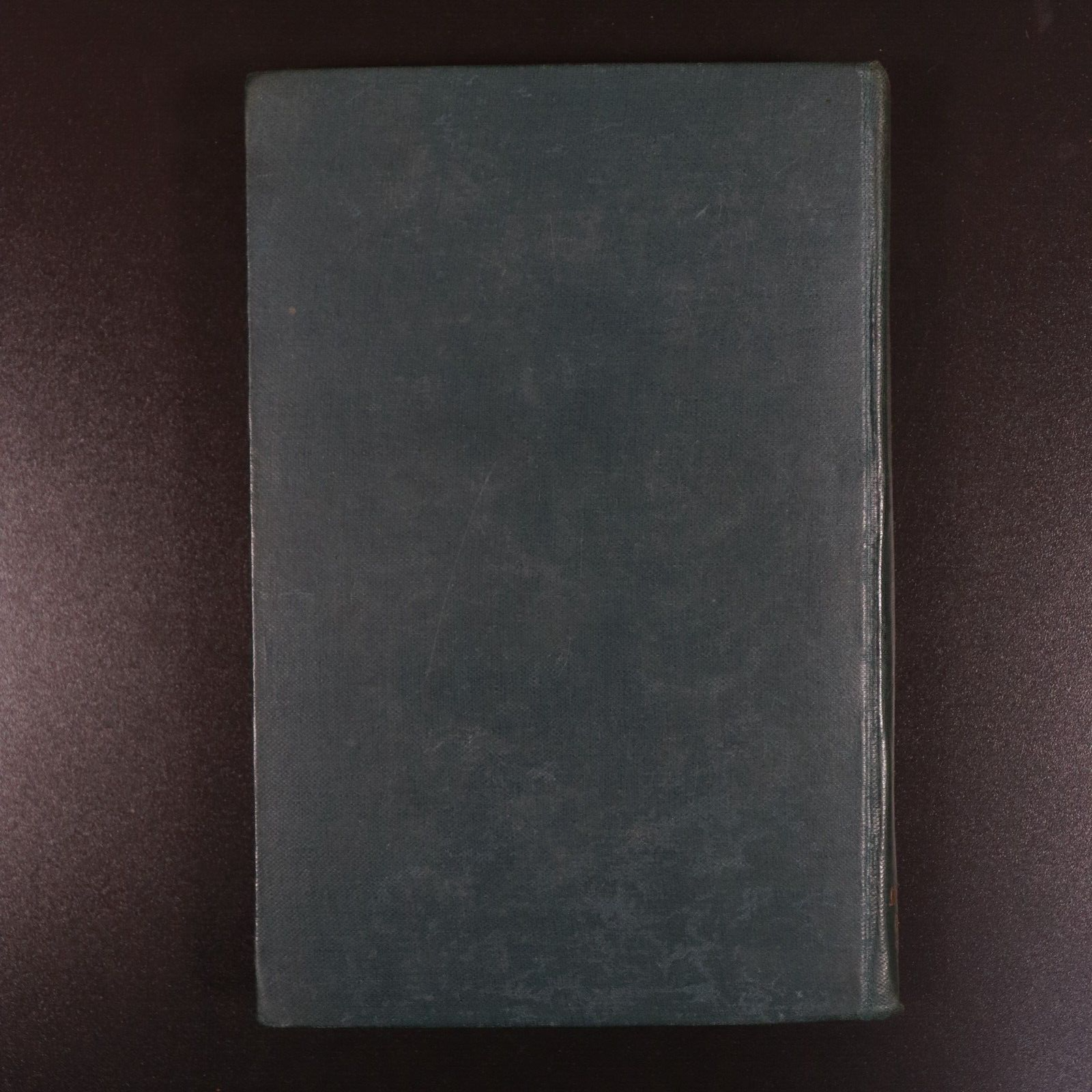 1896 The Wild Ass's Skin La Peau De Chagrin - H. De Balzac Antique Fiction Book