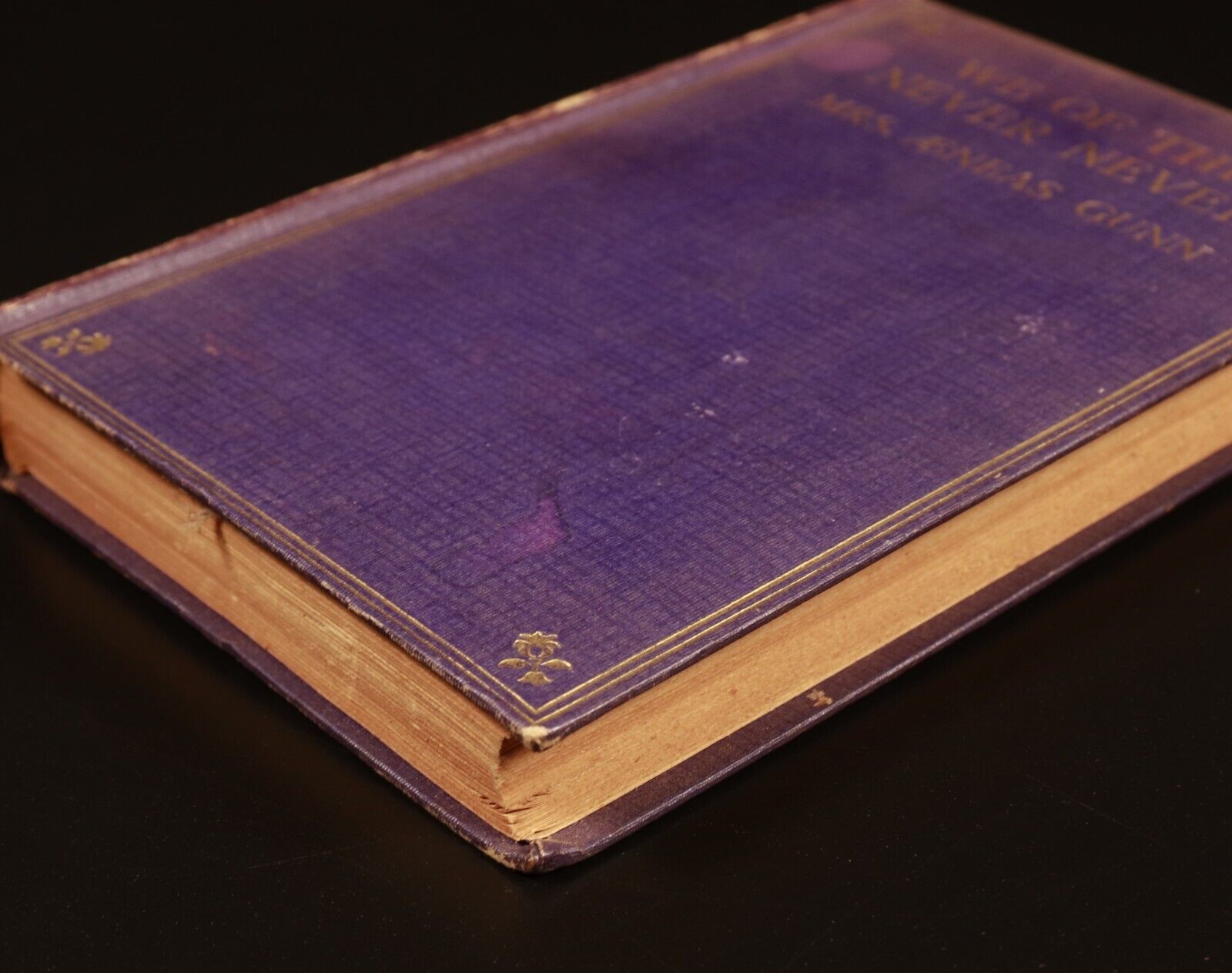 c1920 We Of The Never-Never by Mrs Aeneas Gunn Antique Australian Fiction Book