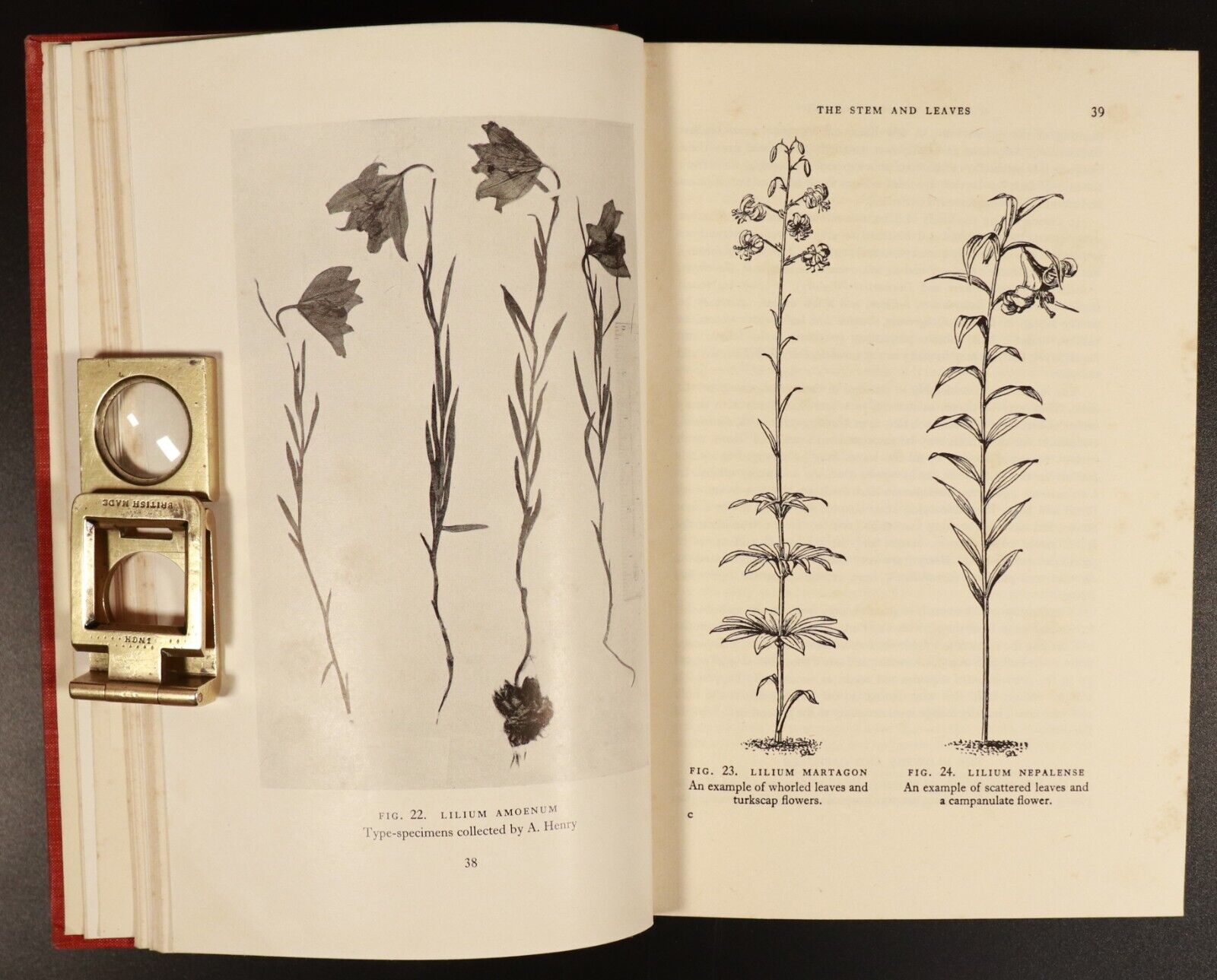 1950 Lilies Of The World by H.B.D. Woodcock Vintage Gardening Reference Book